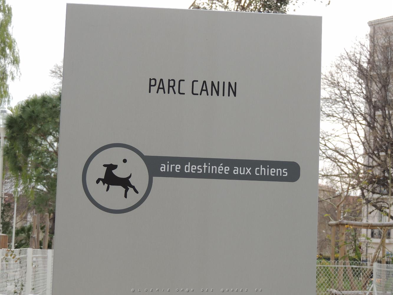 36 Parc Canin.JPG -           